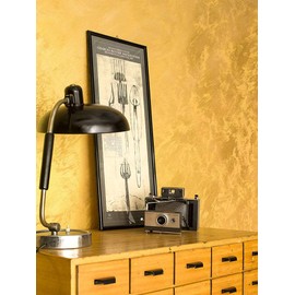 Atova International Viero Allure Pearlescent Plaster Finish - Silver (1 Liter)