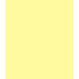 ARK A4 240gsm Colored Card Stock Pack of 10 Sheets (Pastel Yellow)