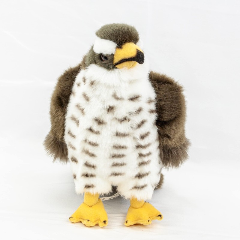 Teddys Rothenburg Cuddly Toy Falcon 23 cm Brown/Grey/White Plush Bird