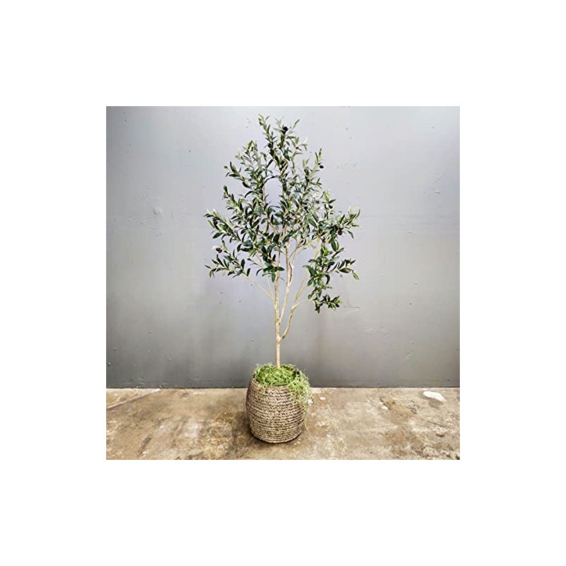 Artificial Olive Tree,Artificial Tree,Silk Tree,Artificial Silk Plant,Artificial Olive Tree 6