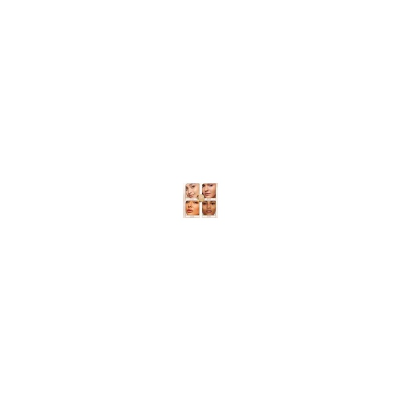 Sheshine Novohojo Cushion Bb 2en1 Polvo Compacto Spf35 W01 Ono