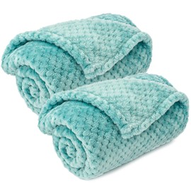 Pet Blanket for Dogs or Cats - Warm Soft Fuzzy Plush Fleece Throw for Puppy, Kitten, Small, Medium, Large Pets - Bed, Couch, Sofa, Travel (S/24" x 32", Robin Blue)