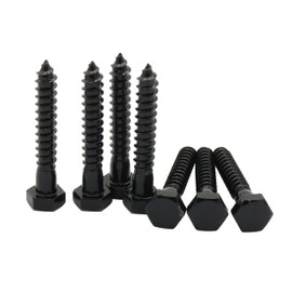 LBY 13pcs 5/16" x 2" Lag Screws, Hex Head Lag Screws Bolts, Wood Screws, 304 Stainless Steel, (Black)