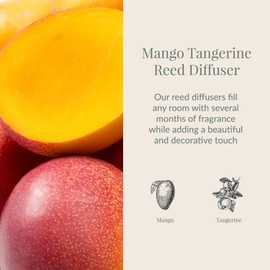 Archipelago Botanicals Mango Tangerine Reed Diffuser, Home Fragrance Reed Diffuser, Includes Fragrance Oil, Decorative Wooden Cap & 10 Diffuser Reeds, Perfect for Home, Office or Gift, 7.85 fl oz