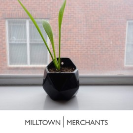 Milltown Merchants Succulent Wall Planters - Wall Vases - Black Ceramic Wall Mounted Planters - Succulent Plant Pots - Hanging Vases for Living Wall (2 Pack/Geometric/Black)