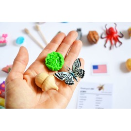 TomToy Acorn Alphabet Objects Set for Montessori ABC Box, Set of 26 Objects