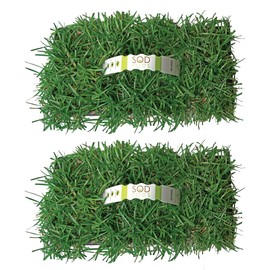 SodPods® Centipede Grass Plugs for Lawn Repair, 3" x 3" Each (16-Count) – Cannot Ship to California/Arizona