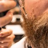 Cremo Beard Oil, Forest Blend - Restores Moisture, Softens And