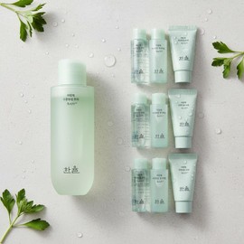Hanyul Artemisia Moisture Soothing Toner 150ml + Toner Lotion Cream Citron Sleeping Pack Cleansing Pack Foam Gift Composition Selection / 한율 어린쑥 수분진정 토너150ml+토너로션 크림유자수면팩클렌징팩폼 증 정구성선택