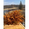 Premium Whole Dried Cordyceps Mushrooms .75oz Small Batch Cordycepes militaris