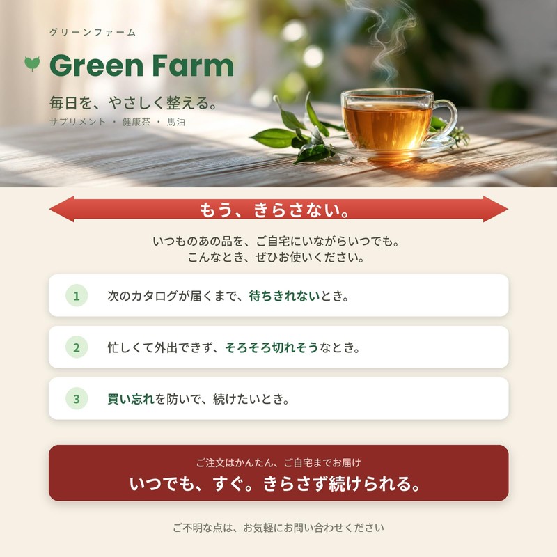 Made in Japan [Pregnancy Supplement! 2 Tablets of Folic Acid