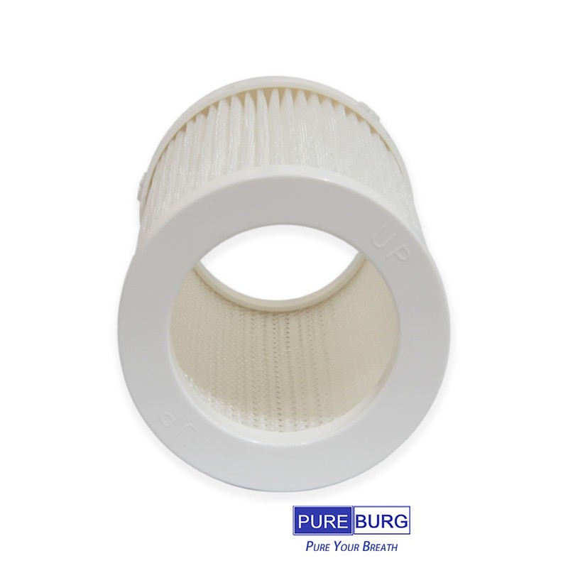 PUREBURG AS04FT-2 Replacement Filters Compatible with DH Lifelabs Aaira +
