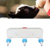 Lamb Feeder with 3 Nipples 3L Plastic Silicone Livestock Teat