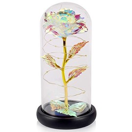 Gifts for Mom from Daughter, Women Birthday Gifts, That Lasts Forever in a Glass Dome with Led Lights, Gifts for Women, Mother, Christmas, Wedding, Anniversary and Birthday, Girlfriend Wife