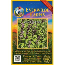 Everwilde Farms - 2000 Licorice Basil Herb Seeds - Gold Vault Jumbo Seed Packet