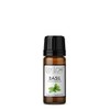 Lily & Loaf Basil Organic Essential Oil (Ocimum basilicum SSP
