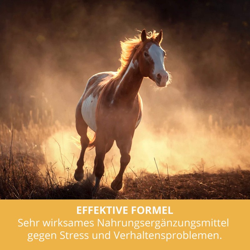 Sensipharm Feelings Control for Horses