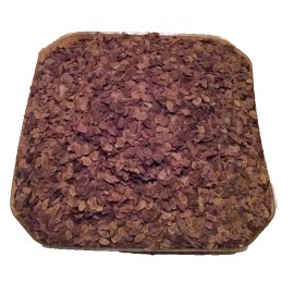 Milkweed Monarchy 2 oz (6k+)  Common Milkweed Seeds (Asclepias syriaca), Organically Grown in PA