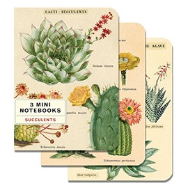 Cavallini Papers & Co., Inc. Succulents Mini Notebooks 4 x 5.5