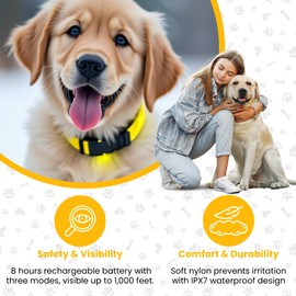 GadgetPawsUSA - LED Dog Collar - USB Rechargeable Light Up Collar with Waterproof Design + 3 Lighting Modes - Illuminated Safety Collar - Yellow (Large Size)