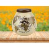 Pot Of Dreams Adventure Globe Money Pot Save Up &