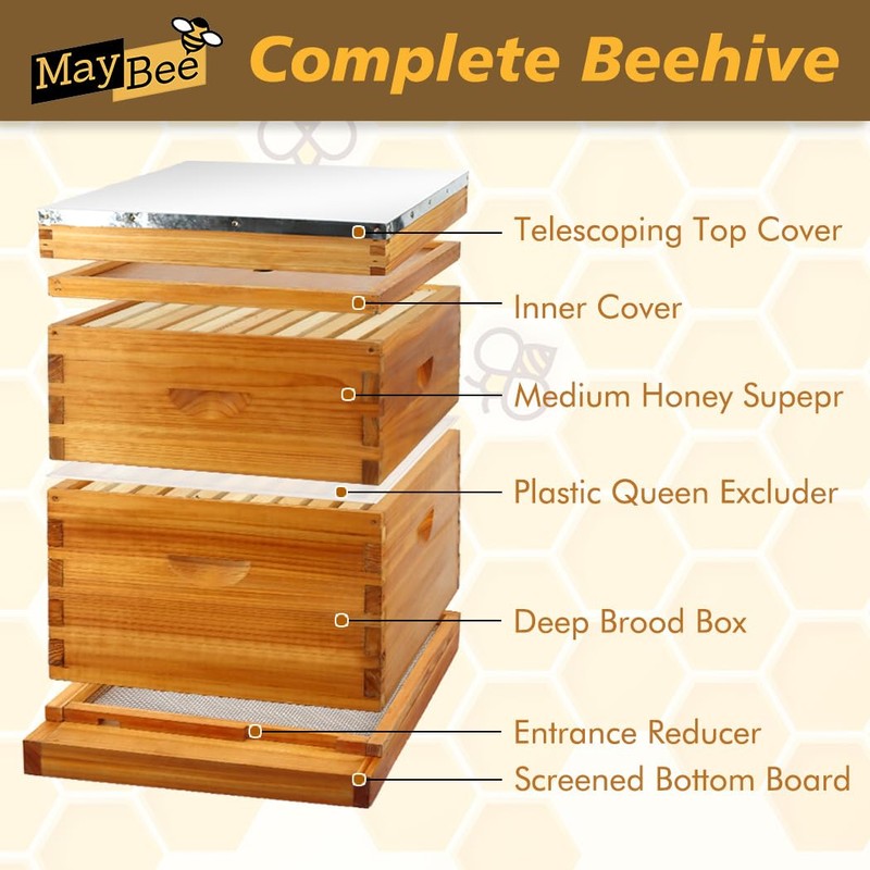 MayBee 10 Frame Screened Bottom Board Beehive Dipped in 100%