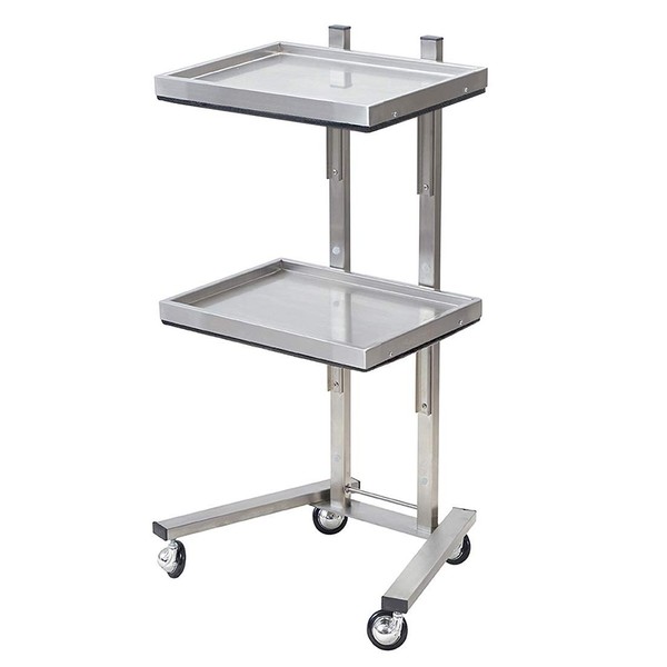 Kaleurrier Rolling Tool Trolley Cart with Double Storage Tray,Stainless Steel Utility Instrument Tray Stand with Wheels for Beauty Hair Salon Tattoo Spa Clinic Medical Studio Home (Color:Silver)