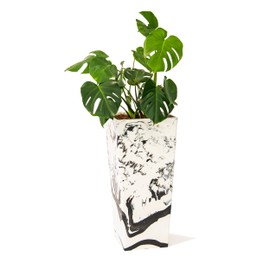 XBrand Modern 28-Inch Tall Square Tapered Planter for Indoor & Outdoor Use, Patio Decor, Black & White