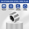 PATIKIL 2 Pcs 304 Stainless Steel Pipe Plug M33 x
