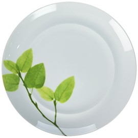 Mikasa Daylight Dinner Plate, 11-Inch