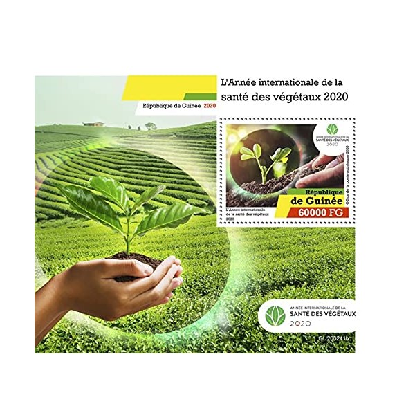 Guinea - 2020 Intl Year of Plant Health - Stamp