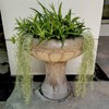 Ahvoler Fake Spanish Moss, Faux Spanish Moss Garland for Potted