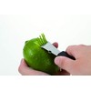 Endoshoji TKG Professional Kitchen Tools BKTJ301 KT87874 Lemon Zester, Polypropylene