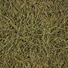 Oherb 국내산 솔잎 250g (국내산 100%) Domestic Pine Needle 250g
