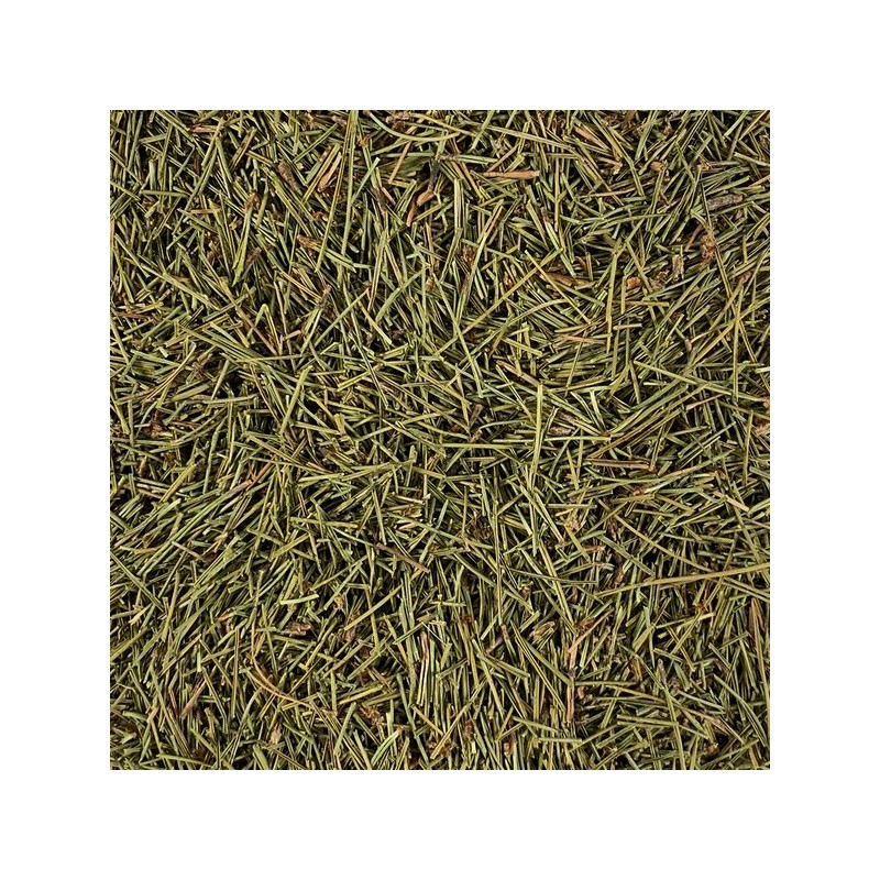 Oherb 국내산 솔잎 250g (국내산 100%) Domestic Pine Needle 250g