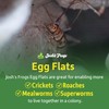 Josh's Frogs Egg Flats for Feeder Insect Colonies (15 Count)