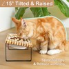 Elevated Cat Bowls Raised Tilted Cat Dishes Ceramic Kitty Food