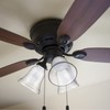 Skelang 2 Pcs Ceiling Fan Light Cover, Seeded Glass Light