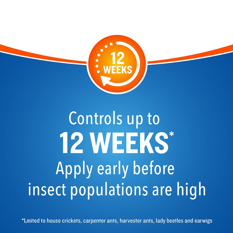 Cutter Backyard Bug Control Spray Concentrate, Mosquito Repellent, Kills Mosquitoes,