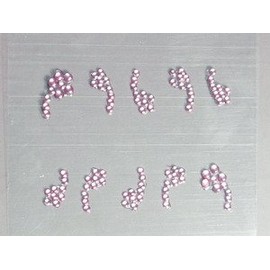 Pink Flower Designed Stick-On/Adhesive Rhinestones/Gems/Crystals/Jewels Nail Stickers/Decals
