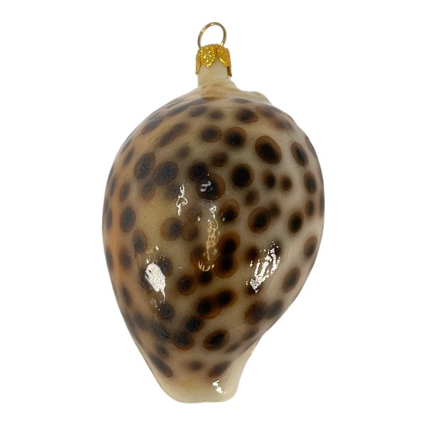 Spotted Seashell Polish Glass Christmas Tree Ornament
