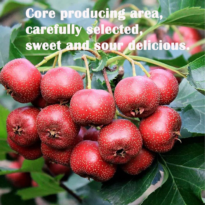 Lingyunxi Dried Hawthorn Fruit Tea Berries Hawthorn Slices Nature Sun-Dried