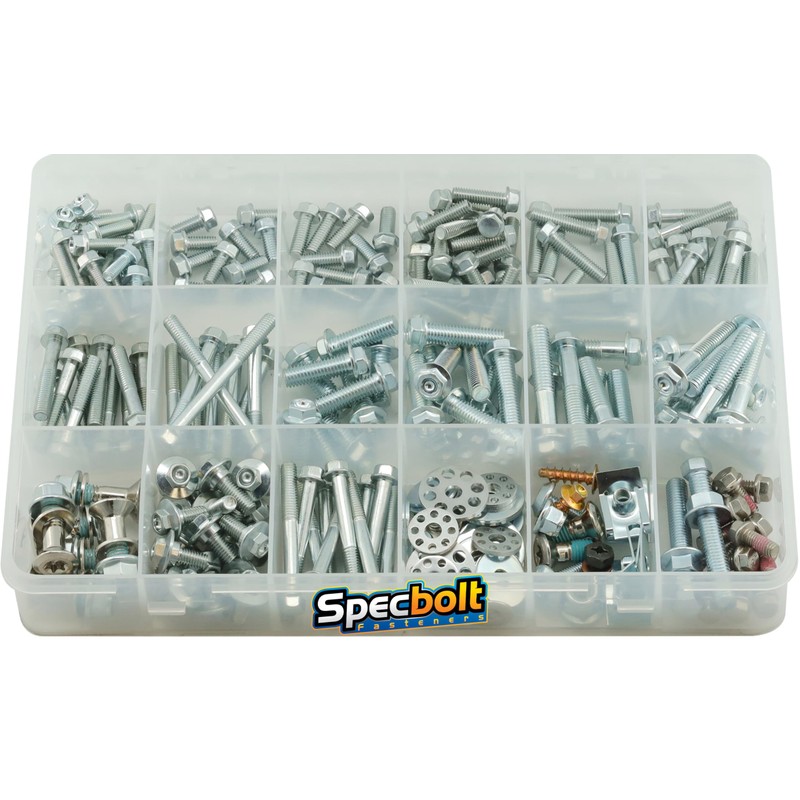 BETA Specific SPECBOLT ZINC SPEC 2 Stroke Race Bolt KIT