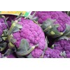 NIKA SEEDS - Seeds Vegetable Cauliflower Purple Cabbage - 100