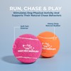 Best Pet Supplies Squeaky Tennis Toys for Dogs, 4-Pack, Heavy-Duty