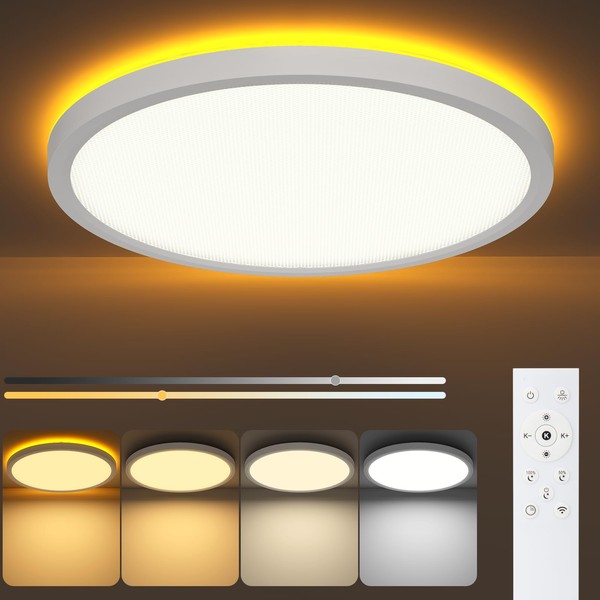 DEEPLITE LED Ceiling Light Fixture with Night Light by Remote