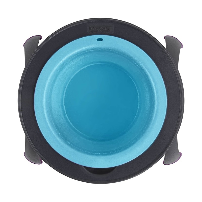 Dexas Popware for Pets Single Elevated Pet Feeder