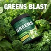 Total Tea Super Greens Powder - Energy & Immunity Boost