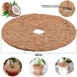 Funrelaxer 4 x 40 cm coconut mat, coconut fibre mat, coconut plant protection, winter protection, coconut mat, winter protection, sustainable plant protection, frost protection, cold protection