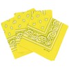Laciteinterdite Set of 3 Paisley Bandanas for Men and Women,